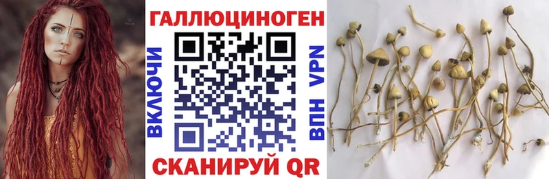 Купить закладки  Цимлянск  Галлюциногенные грибы Magic Shrooms 